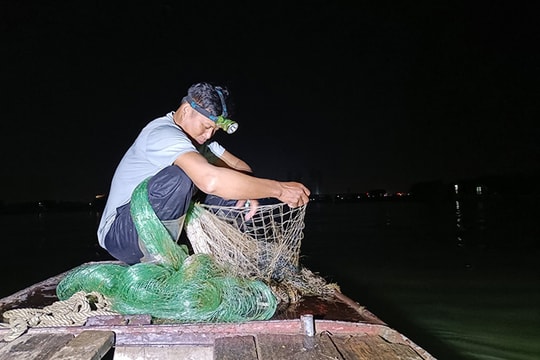 Trắng đêm mưu sinh trên sông